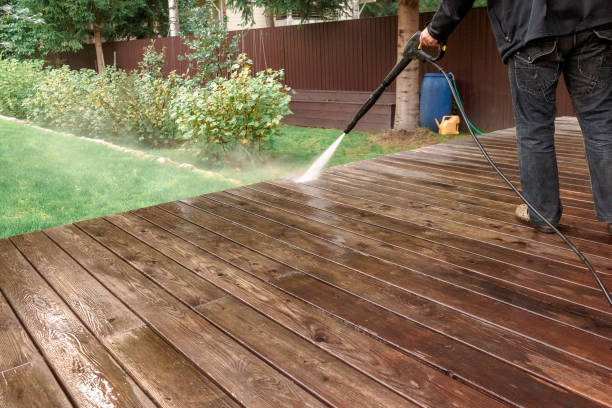 Best Animal Enclosure Cleaning  in Holley, FL